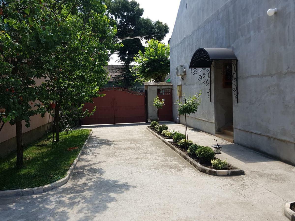 Apartman Vila Milica Kikinda Exterior foto